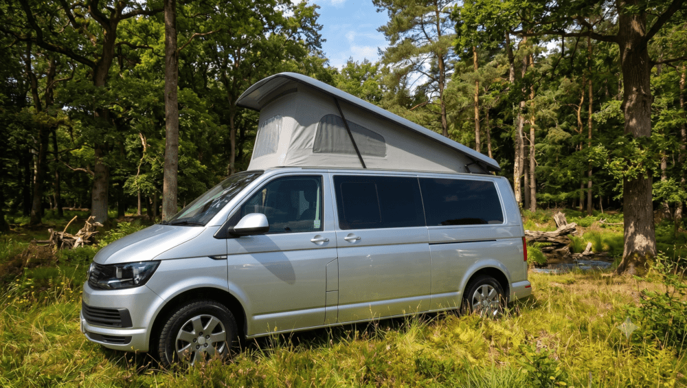 A silver Volkswagen danbury camper van is parked in a lush forest clearing.