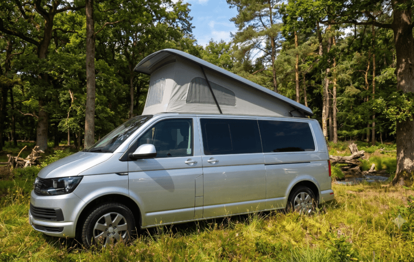 A silver Volkswagen danbury camper van is parked in a lush forest clearing.